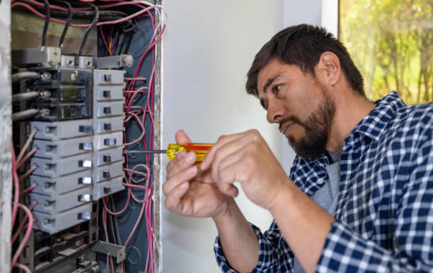 Best Ceiling Fan Installation Electrician  in Sterling, GA